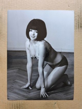 Susanne Hsiao Kneeling Leggy Pinup Portrait Photo By Bernard Of Hollywood 1960 
