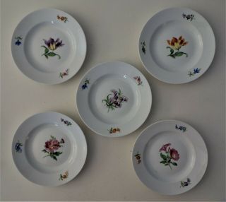 Five Meissen 6 Inch Plates,  Tulips,  Florals,  Ca.  1840 - 1870,