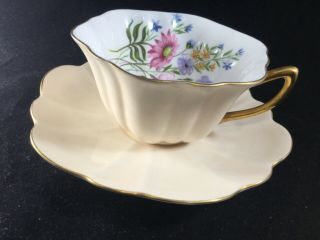 Shelley Fine Bone China England Teacup And Saucer Oleander Peach Floral