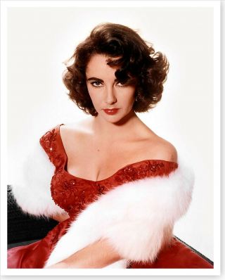 Movie Actress Elizabeth Taylor Fur Wrap 8 X 10 Silver Halide Photo
