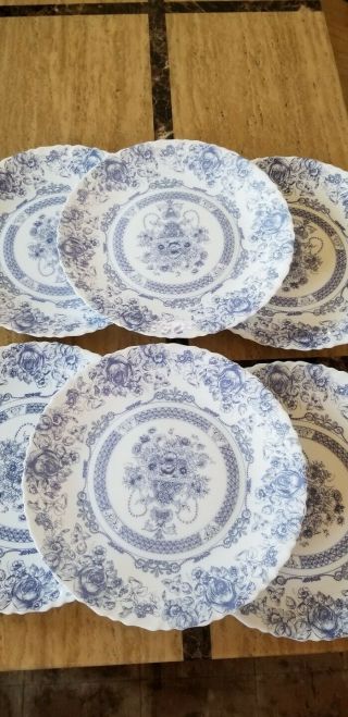 Set Of 6 Arcopal Honorine Blue Floral Scalloped Edge 10 3/4 " Dinner Plates