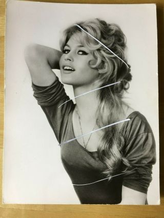 Vintage Brigitte Bardot 1960s Pin - Up Photograph By Sam Levin