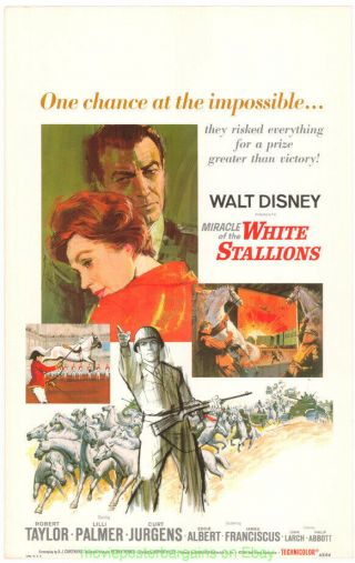 Miracle Of The White Stallions Movie Poster 14x22 Inch Window Card