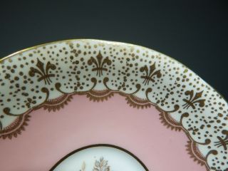 AYNSLEY ENGLAND SIGNED J.  A.  BAILEY FLORAL CUP & SAUCER W/ PINK/GOLD BACKGROUND 7