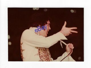 Elvis Presley Concert Photo - Power Of The King 1977 - Jim Curtin Rare