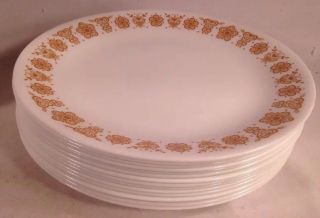 15 Vtg Corelle Corning Butterfly Gold Dinner Plates 10 1/4 "