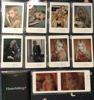 Chungha Chung Ha Flourishing Pop - Up Store Official Goods Polaroid Photo Card Set