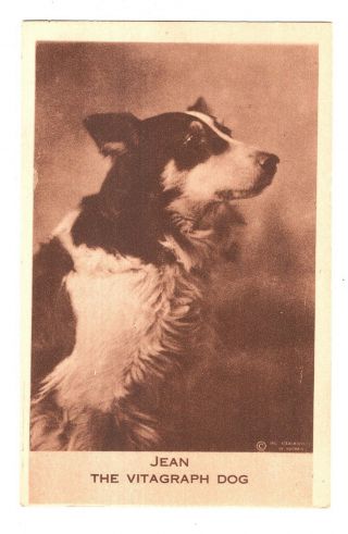 1913 Card Advertising Jean The Vitagraph Dog Collie Movie Star Motion Pictures