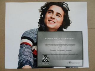 Timothee Chalamet Signed :Autographed Photo 