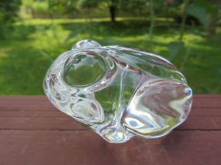 Steuben Art Glass Frog Hand Cooler Paperweight Signed