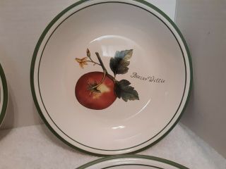 Set Of Four (4) Williams - Sonoma ‘Heirloom Tomatoes’ Pasta Soup Bowls VTG 9 1/2” 3