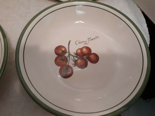 Set Of Four (4) Williams - Sonoma ‘Heirloom Tomatoes’ Pasta Soup Bowls VTG 9 1/2” 4