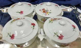 Apilco Individual Covered Soup/casserol Dishes 2,  France Set 4