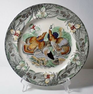 Adams Birds Of America Ruffled Grouse 10 - 1/2 " Dinner Plate Floral Rim