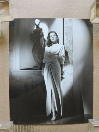 Viveca Lindfors Leggy Glamour Portrait Photo By Bert Six 1949 Night Unto Night