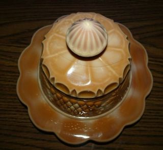 Chocolate Slag Covered Butter Cheese Dish GRAPE & CABLE Fenton Art Glass 8