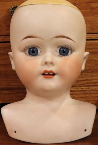 Antique C1890 6 1/2 " Fulper American Bisque Doll Head,  11 1/2 " Circumference