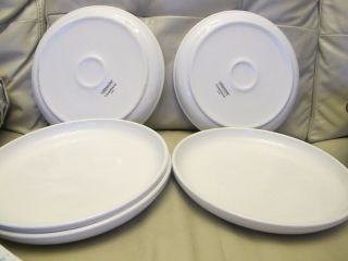 Set Of 5 Crate & Barrel Culinary Arts White 10.  5 " Dinner Plates