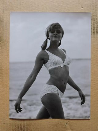 Susie Mueller Busty Bikini Pinup Portrait Photo By Lothar Winkler 60 