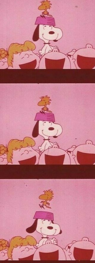 Snoopy Come Home Movie Charlie Brown 12 Film Cell Strips - 60 Film Cells