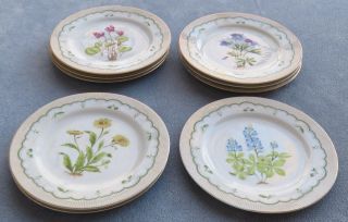 Eight Georges Briard Victorian Gardens Salad Plates Mixed Flowers