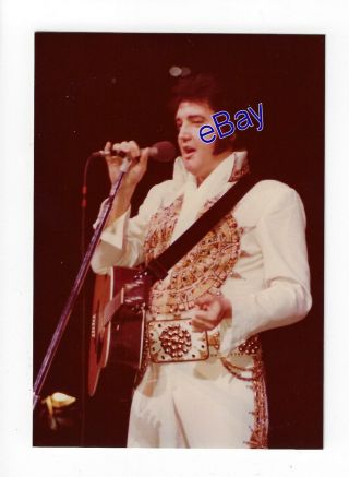 Elvis Presley Concert Photo - Final Tour 1977 - Jim Curtin Vintage Rare