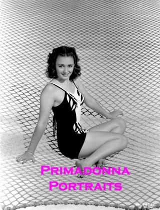 Donna Reed 8x10 Lab Photo 1940s Swimsuit Sexy Leggy Curly Hair Cute Young