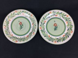Southern Living At Home Gail Pittman Provence Garland Two 10 1/2 " Dinner Plates