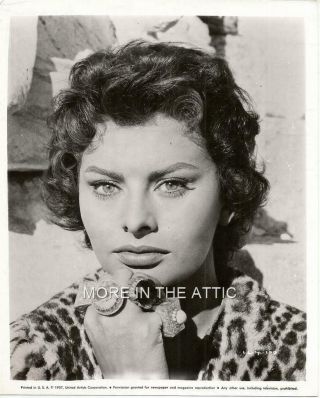 Sexy Stunning Italian Goddess Sophia Loren Orig Penetrating Eyes Portrait
