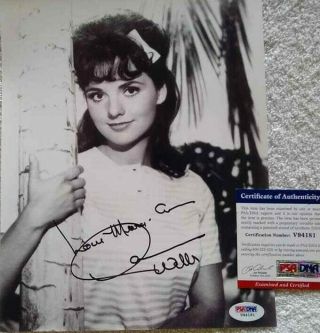 Dawn Wells Signed Autograph 8x10 W/ Psa Dna Gilligan Island Mary Ann