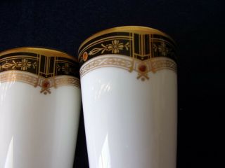 Noritake Gold & Sable Salt And Pepper Shakers 4