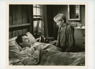 Yearling Deluxe Movie Still 8x10 Gregory Peck,  Claude Jarman 1946 20916