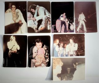 Elvis Presley - 8 Concert Photos - 1975 & 1976 - Set 3