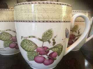 Sarah’s Garden Wedgwood Queen’s Ware Cups Prunus Domestica Set