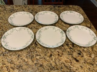 Set Of 6 Green Callaway Ivy Dinner Plates 10 1/4 " White Swirl Green Ivy
