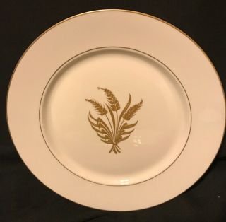 8 Royal Jackson Golden Wheat Dinner Plates 10 1/4” Dia
