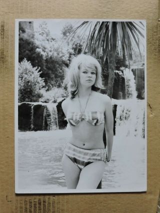 Ingrid Simon Busty Bikini Pinup Portrait Photo 1960 
