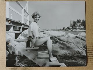 Barbara Ruick Full Leggy Swimsuit Pinup Portrait Photo 1956 Carousel 2