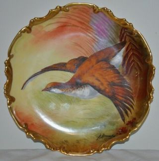 11 " Limoges Coronet Plate Charger Hand Painted Bird Signed