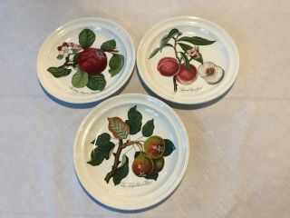 3 Portemirion Pomona 8 1/2 Inch Salad Plates Apple Peach Pear No Border Fruit