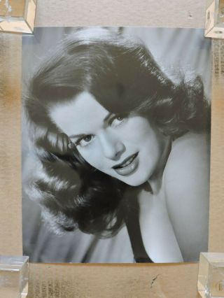 Janis Paige Busty Glamour Portrait Photo By Bert Six 1940 