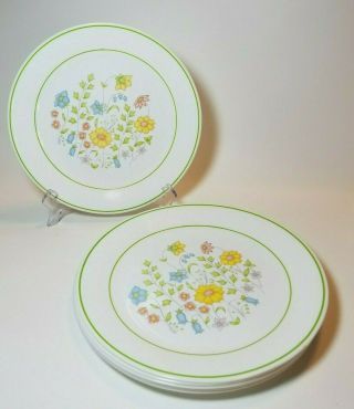 Corelle Meadow Dinner Plates 10 1/4 Inch Flowers Green Trim Set Of 6 Floral