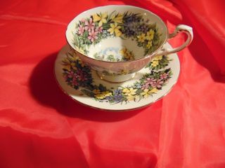Paragon Seasonal Greetings Tea Cup And Saucer Fine Bone China Flowers