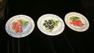 Set of 3 GIEN Oiseaux Bleu Assorted Fruit Designs 8 3/ 4 