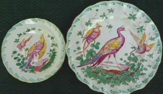 2 Antique Royal Crown Derby Multi Color Chelsea Bird Plates Rcda515 Pattern 1937