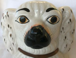 STAFFORDSHIRE SPANIEL DOG ' S DOG HEAD,  MONEY BANK,  MONEY BOX 2