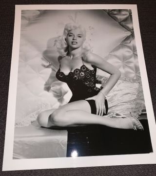 Diana Dors Vintage 50’s Leggy Pin - Up,  Photograph 8x10