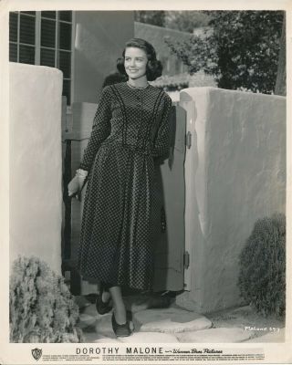 Dorothy Malone 1950s 8 X 10 Lovely Glamour Press Photo Vv