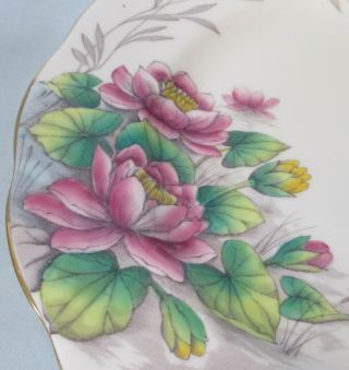 Royal Albert Flower of the Month Water Lily Older Hampton Cup & Saucer Trio 3