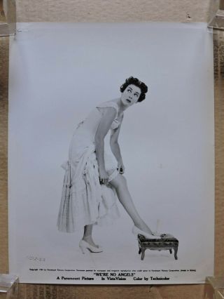 Joan Bennett Pulls Up Her Garter Orig Leggy Portrait Photo 1954 We 